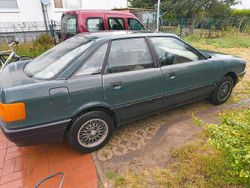 Grün Gebraucht 1987 Audi 80 Limousine | 2.000 €