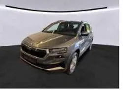 Grau Gebraucht 2022 Skoda Karoq Ambition SUV | 24.450 € (Guter Preis)