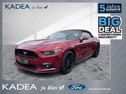 Rot Gebraucht 2017 Ford Mustang | 32.980 € (Fairer Preis)