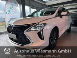 Weiß Neu 2025 DFSK Forthing 4 Van / Kleinbus | 29.990 € (Fairer Preis)