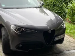 Grau Gebraucht 2018 Alfa Romeo Stelvio Tech Edition SUV | 26.900 € (Teuer)