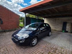 Blau Gebraucht 2015 Fiat Punto Pop Kleinwagen | 2.899 € (Guter Preis)