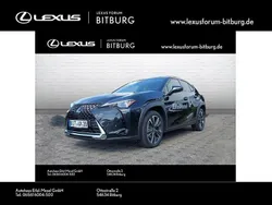 Schwarz Gebraucht 2023 Lexus UX 250h SUV | 29.960 € (Fairer Preis)