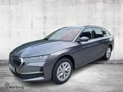 Grau Gebraucht 2024 Skoda Octavia Selection Kombi | 37.720 € (Etwas zu teuer)