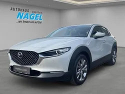 Weiß Neu 2025 Mazda CX-30 Center-Line SUV | 31.999 €