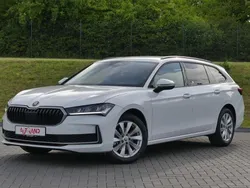 Weiß Gebraucht 2024 Skoda Superb Kombi | 36.890 € (Etwas zu teuer)