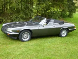 Gebraucht 1989 Jaguar XJS Cabrio | 22.500 €