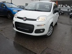 Weiß Gebraucht 2017 Fiat Panda Easy Kleinwagen | 5.999 € (Guter Preis)