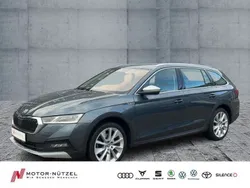Grau Gebraucht 2021 Skoda Octavia Kombi | 24.930 € (Guter Preis)