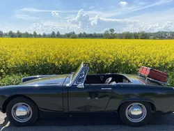 Grün Gebraucht 1965 MG Midget Cabrio | 6.499 €