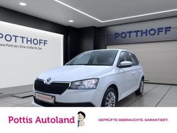 Weiss Gebraucht 2020 Skoda Fabia Active Kleinwagen | 10.221 € (Fairer Preis)