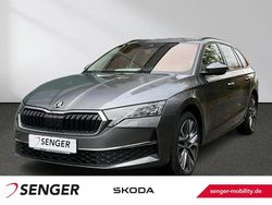 Grau Neu 2025 Skoda Octavia Tour Limousine | 38.490 € (Teuer)
