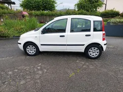 Weiß Gebraucht 2010 Fiat Panda Kleinwagen | 2.600 € (Etwas zu teuer)