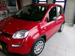 Rot Neu 2025 Fiat Panda Kleinwagen | 14.980 €