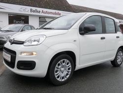 Weiß Neu 2025 Fiat Panda Limousine | 14.990 € (Fairer Preis)