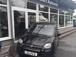 Schwarz Gebraucht 2023 Fiat Panda Cross Cross Kleinwagen | 10.990 € (Fairer Preis)
