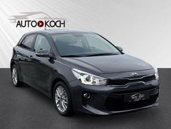 Grau Gebraucht 2019 Kia Rio DREAM-TEAM Edition Limousine | 12.890 € (Superpreis)