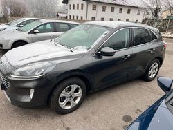 Grau Gebraucht 2020 Ford Kuga Titanium SUV | 13.800 €