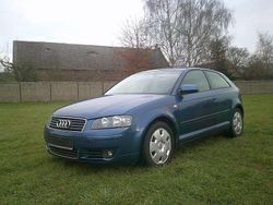 Blau Gebraucht 2003 Audi A3 Ambition | 890 € (Guter Preis)