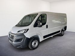549 weiss Gebraucht 2023 Fiat Ducato Van | 27.690 € (Guter Preis)