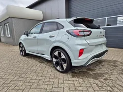 Cactus grey Neu 2025 Ford Puma ST-Line X Van / Kleinbus | 29.090 € (Fairer Preis)