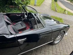 Schwarz Gebraucht 1964 Alfa Romeo Giulia Spider Cabrio | 78.000 €