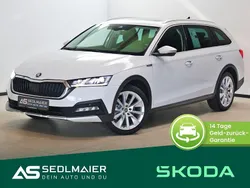 Moonweiss Gebraucht 2021 Skoda Octavia Scout 4x4 Kombi | 23.500 € (Etwas zu teuer)