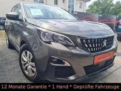Grau Gebraucht 2018 Peugeot 3008 Active SUV | 14.980 € (Etwas zu teuer)