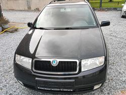 Schwarz Gebraucht 2004 Skoda Fabia Kleinwagen | 1.000 € (Fairer Preis)