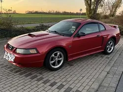 Rot Gebraucht 2001 Ford Mustang Coupé | 7.999 €