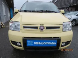 Gelb Gebraucht 2012 Fiat Panda 4x4 Classica Kleinwagen | 3.990 € (Superpreis)