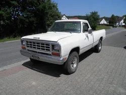 Weiß Gebraucht 1983 Dodge Ram Abholung | 10.500 €