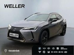 Grau Gebraucht 2022 Lexus UX 250h SUV | 27.450 € (Guter Preis)
