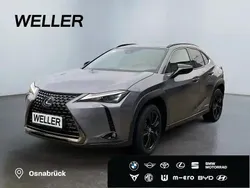 Grau Gebraucht 2022 Lexus UX 250h SUV | 27.450 € (Guter Preis)