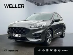 Grau Gebraucht 2024 Ford Kuga ST-Line SUV | 24.279 € (Superpreis)