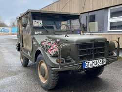Grün Gebraucht 1963 DKW Munga SUV | 17.900 €
