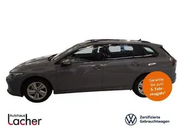 Grau Gebraucht 2024 VW Golf VIII Life Kombi | 24.990 € (Fairer Preis)