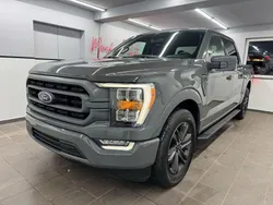 Foot grey Gebraucht 2021 Ford F-150 XLT Abholung | 44.880 € (Fairer Preis)