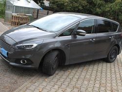Grau Gebraucht 2019 Ford S-MAX S Van / Kleinbus | 13.490 € (Fairer Preis)