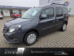 Grau Gebraucht 2017 Mercedes Citan 109 Kombi | 14.990 € (Teuer)