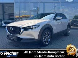 Platinum quartz m Gebraucht 2024 Mazda CX-30 Exclusive-Line SUV | 30.990 € (Etwas zu teuer)