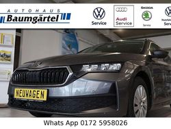 Grau Neu 2025 Skoda Octavia Essence Limousine | 28.990 € (Guter Preis)