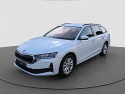 Moonweiss Neu 2025 Skoda Octavia Selection Kombi | 34.541 € (Fairer Preis)