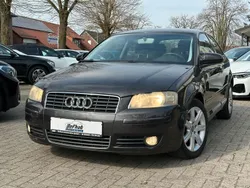 Grau Gebraucht 2003 Audi A3 Ambition Kleinwagen | 1.300 € (Guter Preis)
