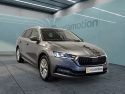 Grau Gebraucht 2024 Skoda Octavia Style Kombi | 35.940 € (Teuer)