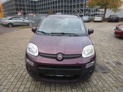 Gebraucht 2013 Fiat Panda Kleinwagen | 2.999 € (Superpreis)