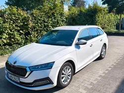 Weiß Gebraucht 2020 Skoda Octavia Active Kombi | 18.000 € (Fairer Preis)