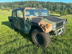 Grün Gebraucht 1990 Hummer H1 SUV | 40.500 €