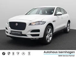 Fuji whiteschwarz Gebraucht 2016 Jaguar F-Pace Pure SUV | 18.499 € (Fairer Preis)