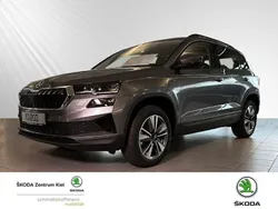 Andere farbe Neu 2024 Skoda Karoq Selection SUV | 40.469 € (Teuer)
